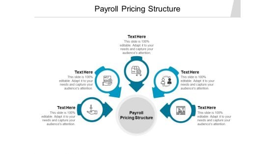 Payroll Pricing Structure Ppt PowerPoint Presentation Infographics Slides Cpb