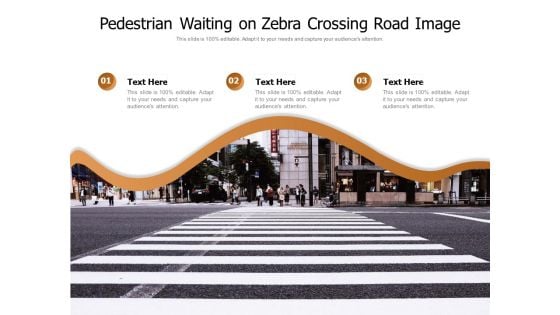 Pedestrian Waiting On Zebra Crossing Road Image Ppt PowerPoint Presentation Gallery Icons PDF Pedestrian Waiting On Zebra Crossing Road Image Ppt PowerPoint Presentation Gallery Icons PDF