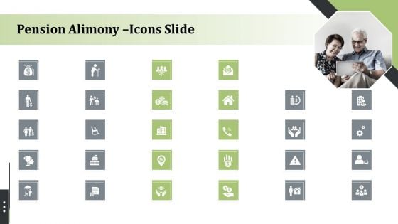 Pension Alimony Icons Slide Portrait PDF