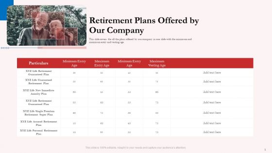 Pension Plan Retirement Plans Offered By Our Company Ppt Show Rules PDF