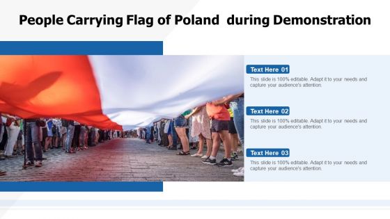 People Carrying Flag Of Poland During Demonstration Ppt Pictures Clipart PDF