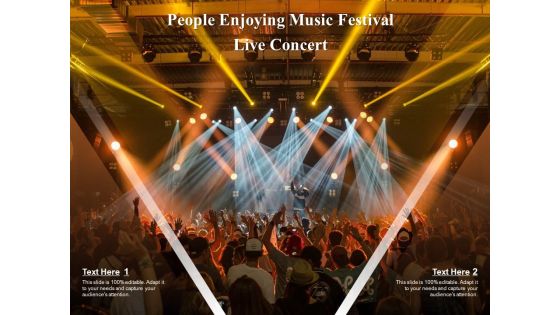 People Enjoying Music Festival Live Concert Ppt PowerPoint Presentation Icon Examples PDF