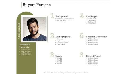 Percentage Share Customer Expenditure Buyers Persona Portrait PDF