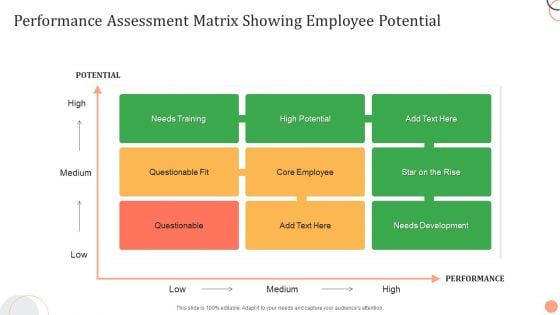 Performance Assessment Matrix Showing Employee Potential Summary PDF