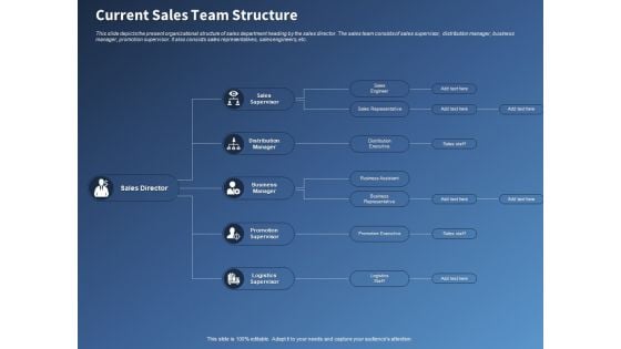 Performance Assessment Sales Initiative Report Current Sales Team Structure Ppt Professional Ideas PDF