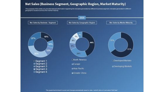 Performance Assessment Sales Initiative Report Net Sales Business Segment Geographic Region Market Maturity Information