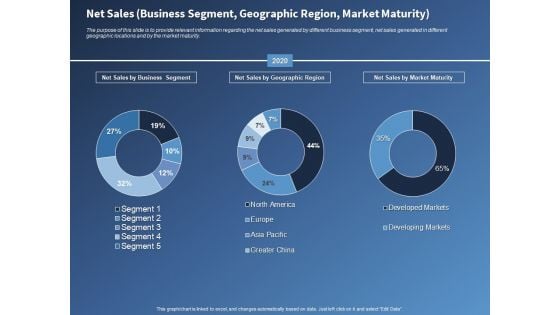 Performance Assessment Sales Initiative Report Net Sales Business Segment Geographic Region Market Maturity Information Performance Assessment Sales Initiative Report Net Sales Business Segment Geographic Region Market Maturity Information