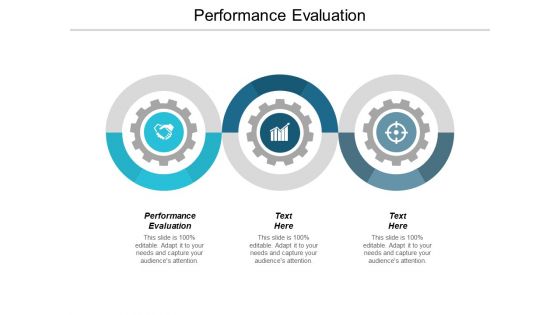 Performance Evaluation Ppt PowerPoint Presentation Ideas Picture Cpb