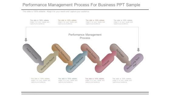 Performance Management Process For Business Ppt Sample