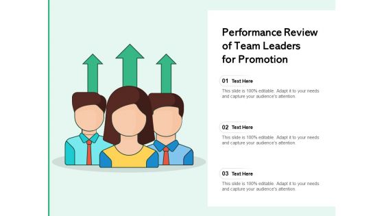 Performance Review Of Team Leaders For Promotion Ppt PowerPoint Presentation Gallery Examples PDF