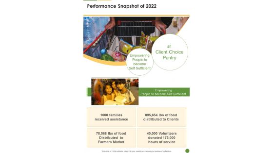 Performance Snapshot Of 2022 One Pager Documents