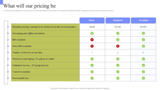 Periodic Revenue Model What Will Our Pricing Be Diagrams PDF