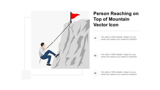 Person Reaching On Top Of Mountain Vector Icon Ppt PowerPoint Presentation Professional Examples