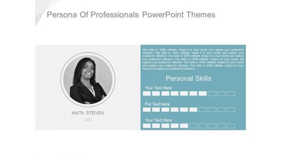 Persona Of Professionals Powerpoint Themes