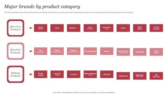 Personal Care Company Profile Major Brands By Product Category Pictures PDF