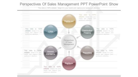 Perspectives Of Sales Management Ppt Powerpoint Show