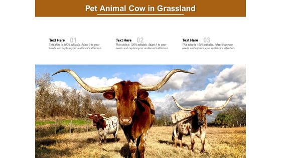 Pet Animal Cow In Grassland Ppt PowerPoint Presentation Icon Graphics Template PDF