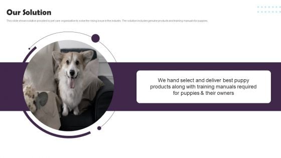 Pet Supplies Company Fundraising Pitch Deck Our Solution Portrait PDF