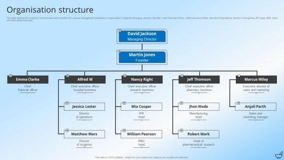 Pharmaceutical And Clinical Research Summary Organisation Structure Infographics PDF