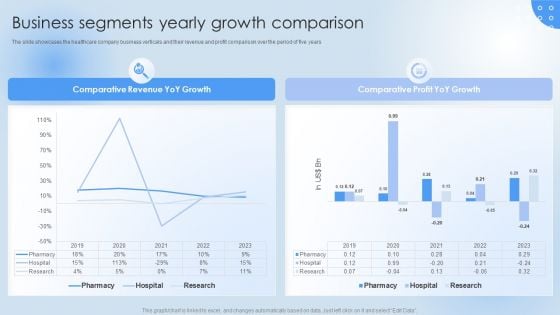 Pharmaceutical Company Financial Summary Business Segments Yearly Growth Guidelines PDF