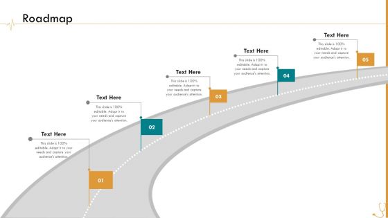 Pharmaceutical Management Roadmap Ppt Layouts Maker PDF