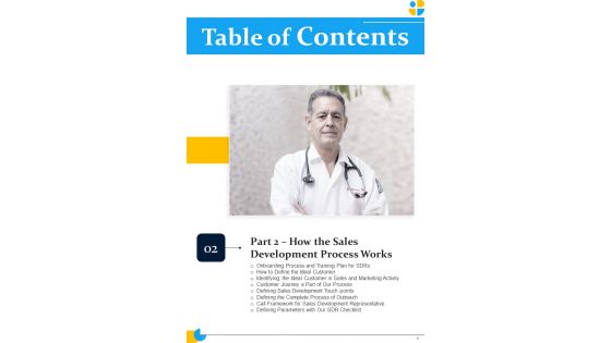 Pharmaceutical Sales Representatives Strategy Playbook Template