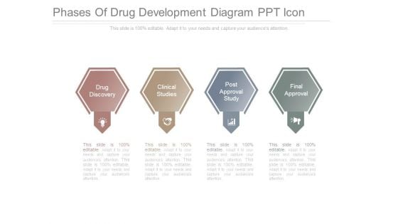 Phases Of Drug Development Diagram Ppt Icon