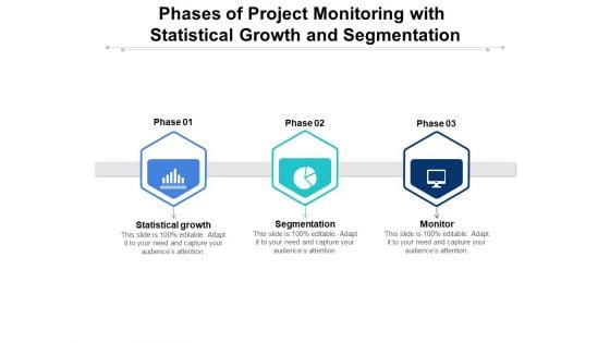 Phases Of Project Monitoring With Statistical Growth And Segmentation Ppt PowerPoint Presentation Pictures Templates PDF