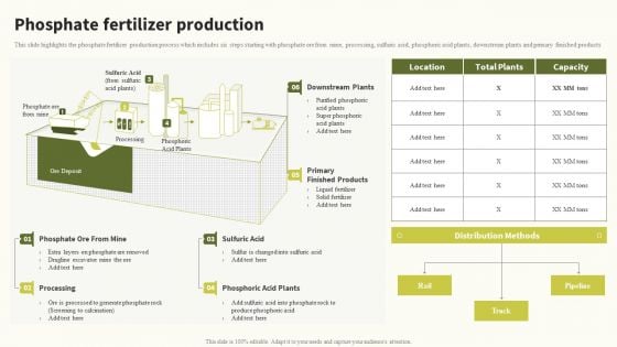 Phosphate Fertilizer Production Global Food Products Company Profile Formats PDF