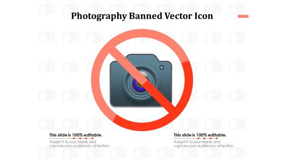 Photography Banned Vector Icon Ppt PowerPoint Presentation Styles Master Slide PDF