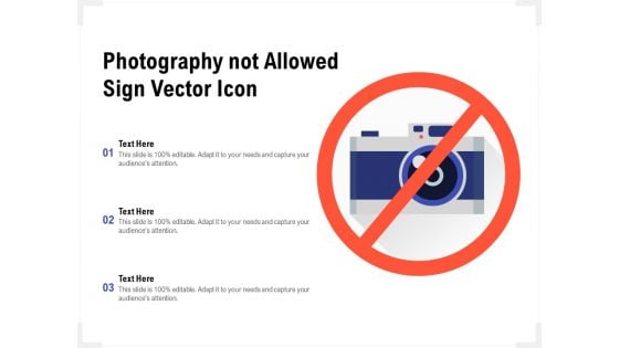 Photography Not Allowed Sign Vector Icon Ppt PowerPoint Presentation Model Templates