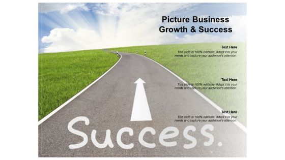 Picture Business Growth And Success Ppt PowerPoint Presentation Show Diagrams