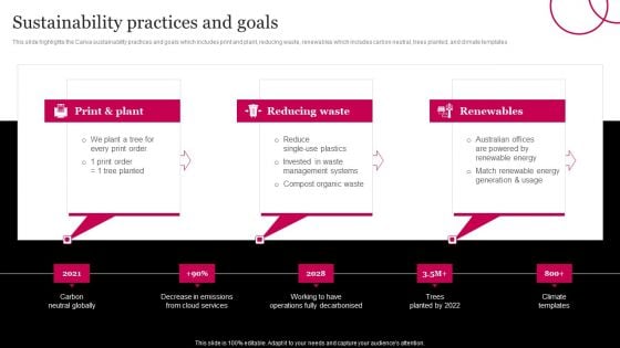 Picture Editing Company Outline Sustainability Practices And Goals Guidelines PDF