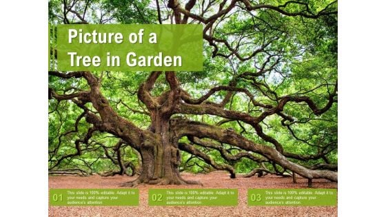 Picture Of A Tree In Garden Ppt Portfolio Background Designs PDF