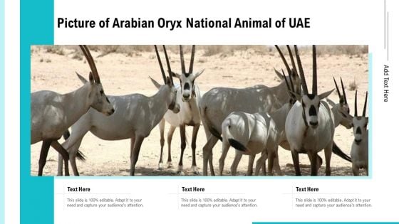 Picture Of Arabian Oryx National Animal Of UAE Ppt PowerPoint Presentation Gallery Slideshow PDF