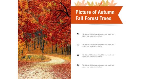 Picture Of Autumn Fall Forest Trees Ppt PowerPoint Presentation Show Objects