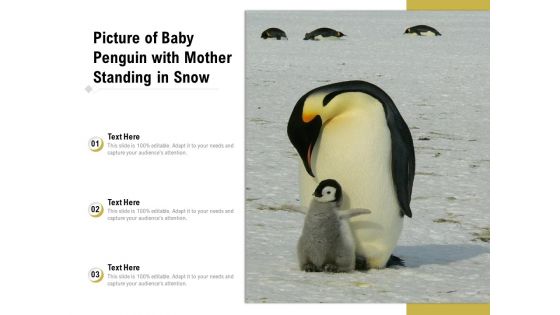 Picture Of Baby Penguin With Mother Standing In Snow Ppt PowerPoint Presentation File Show PDF