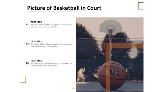 Picture Of Basketball In Court Ppt PowerPoint Presentation Portfolio Background PDF