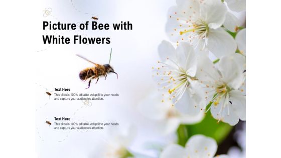 Picture Of Bee With White Flowers Ppt PowerPoint Presentation Show Smartart PDF