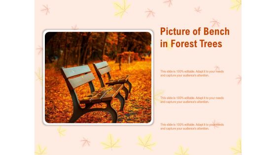 Picture Of Bench In Forest Trees Ppt PowerPoint Presentation Visuals