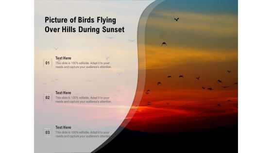 Picture Of Birds Flying Over Hills During Sunset Ppt PowerPoint Presentation Gallery Slide Download PDF