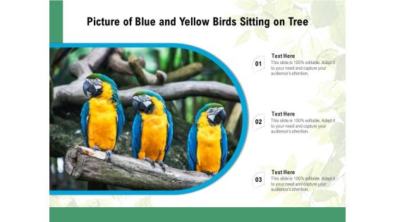 Picture Of Blue And Yellow Birds Sitting On Tree Ppt PowerPoint Presentation File Guidelines PDF