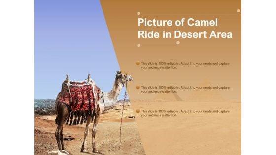 Picture Of Camel Ride In Desert Area Ppt PowerPoint Presentation Layouts Smartart PDF