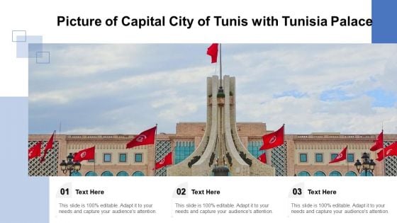 Picture Of Capital City Of Tunis With Tunisia Palace Ppt PowerPoint Presentation Icon Professional PDF