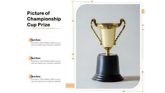 Picture Of Championship Cup Prize Ppt PowerPoint Presentation Icon Outline PDF