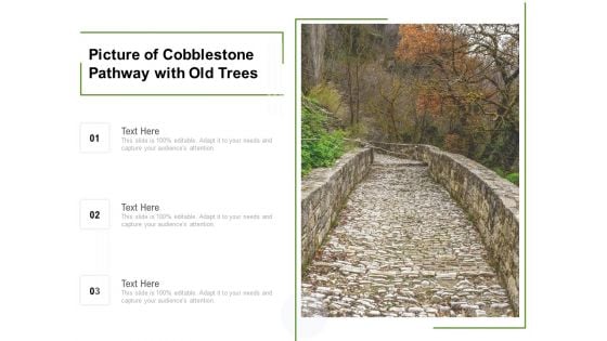 Picture Of Cobblestone Pathway With Old Trees Ppt PowerPoint Presentation Outline Slides PDF