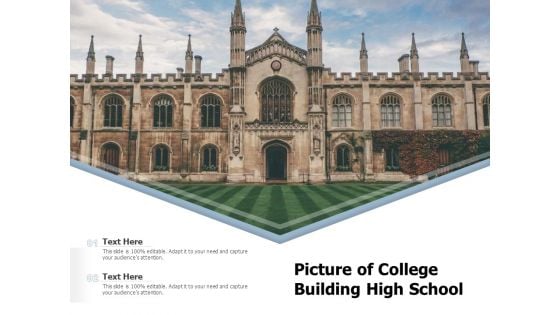 Picture Of College Building High School Ppt PowerPoint Presentation Icon Diagrams PDF