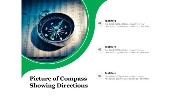 Picture Of Compass Showing Directions Ppt PowerPoint Presentation File Formats PDF