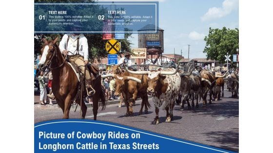 Picture Of Cowboy Rides On Longhorn Cattle In Texas Streets Ppt PowerPoint Presentation Outline Display PDF