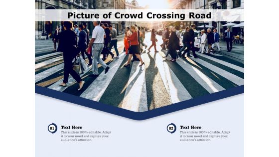 Picture Of Crowd Crossing Road Ppt Powerpoint Presentation Show Images Pdf